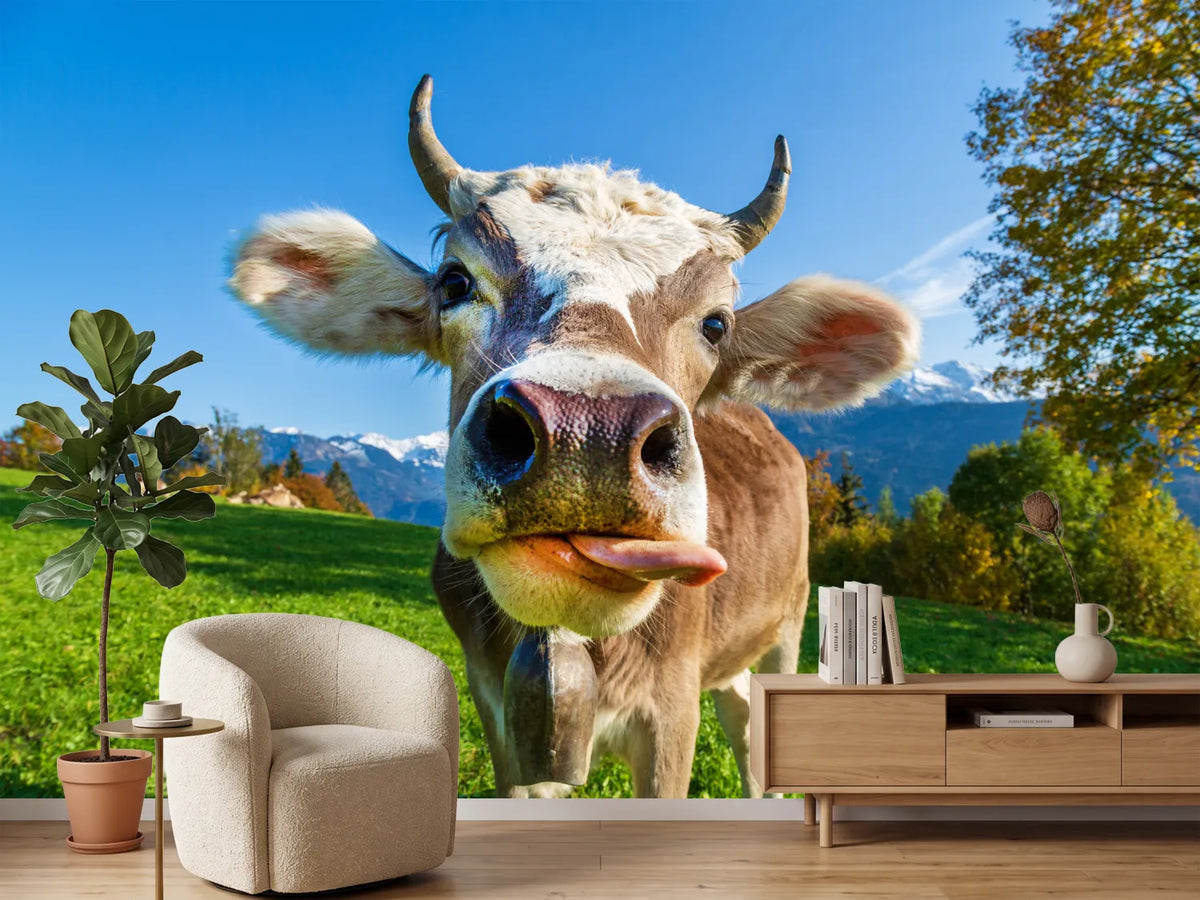 photo-wallpaper-cow-on-the-alp