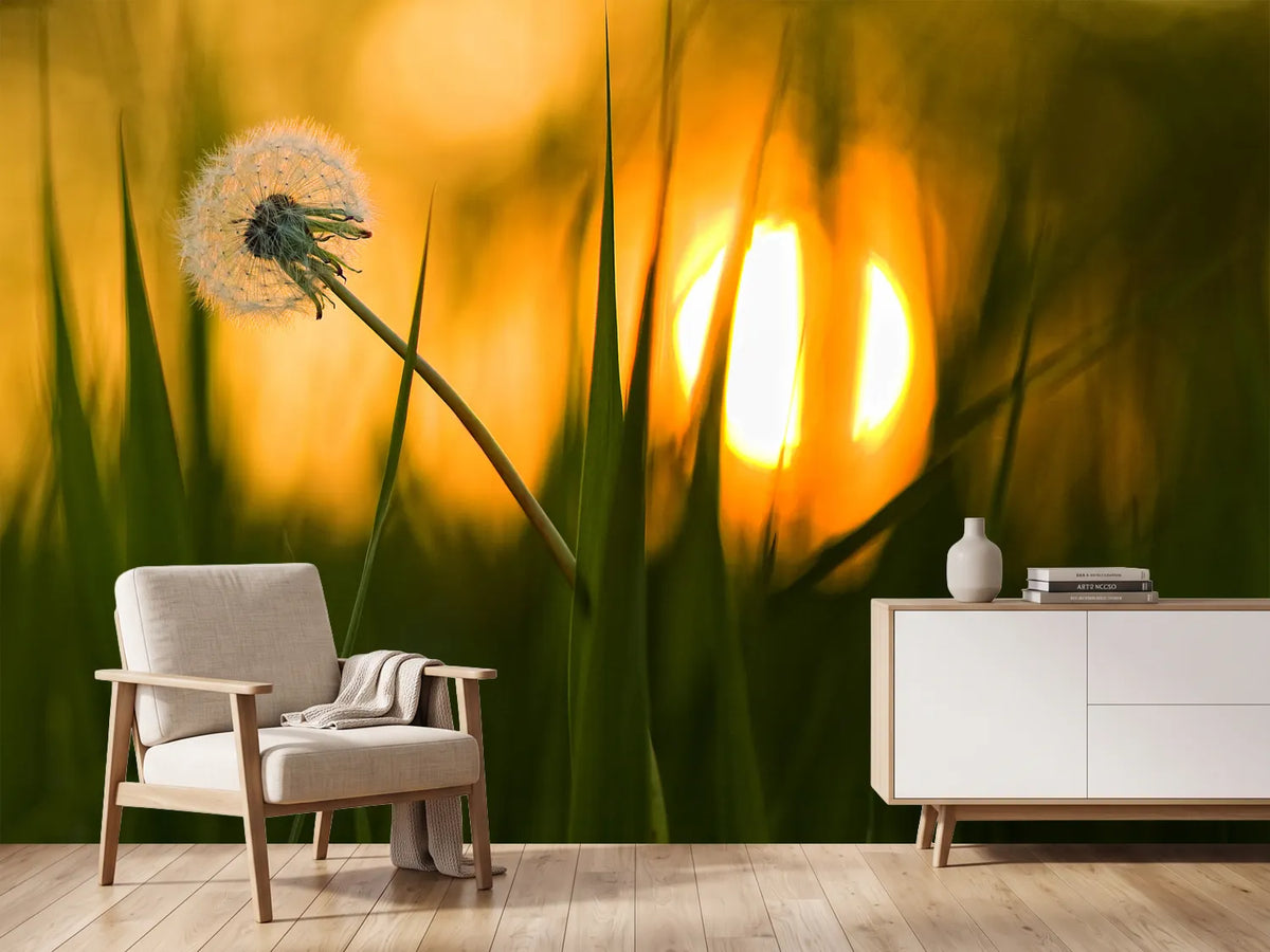 photo-wallpaper-sunbathing