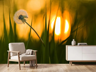 photo-wallpaper-sunbathing