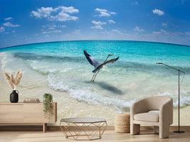 photo-wallpaper-takeoff-x