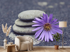 photo-wallpaper-stack-stones