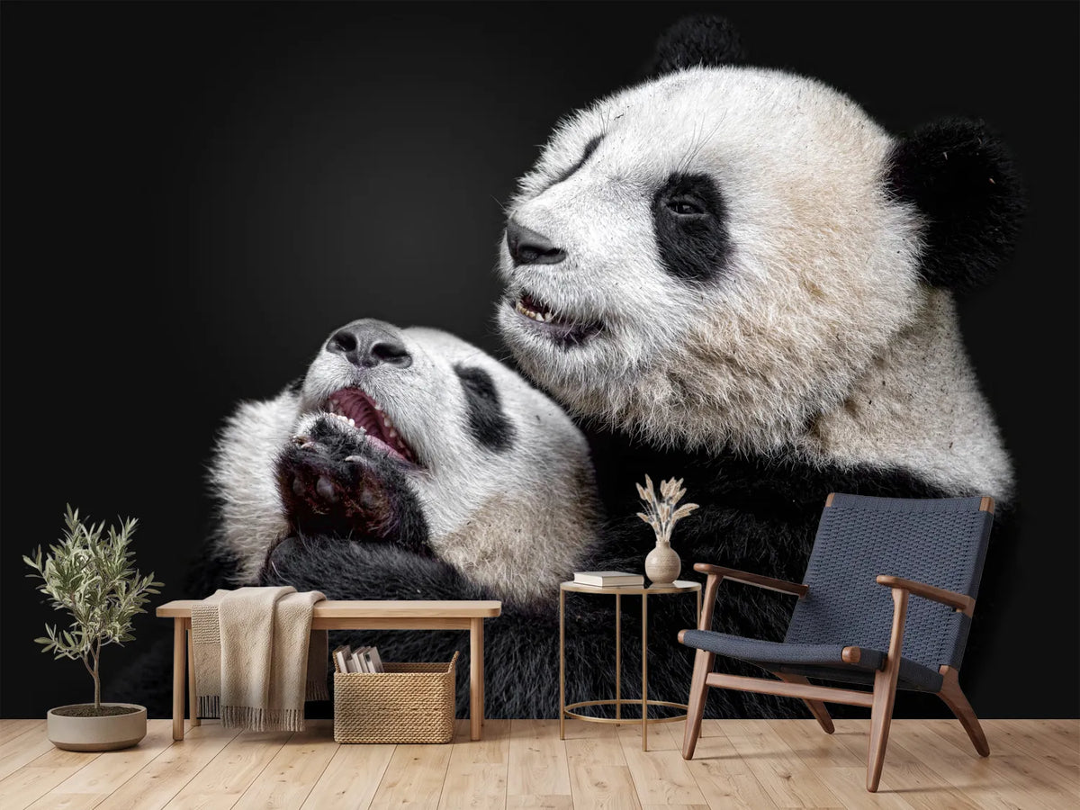 photo-wallpaper-pandas-x