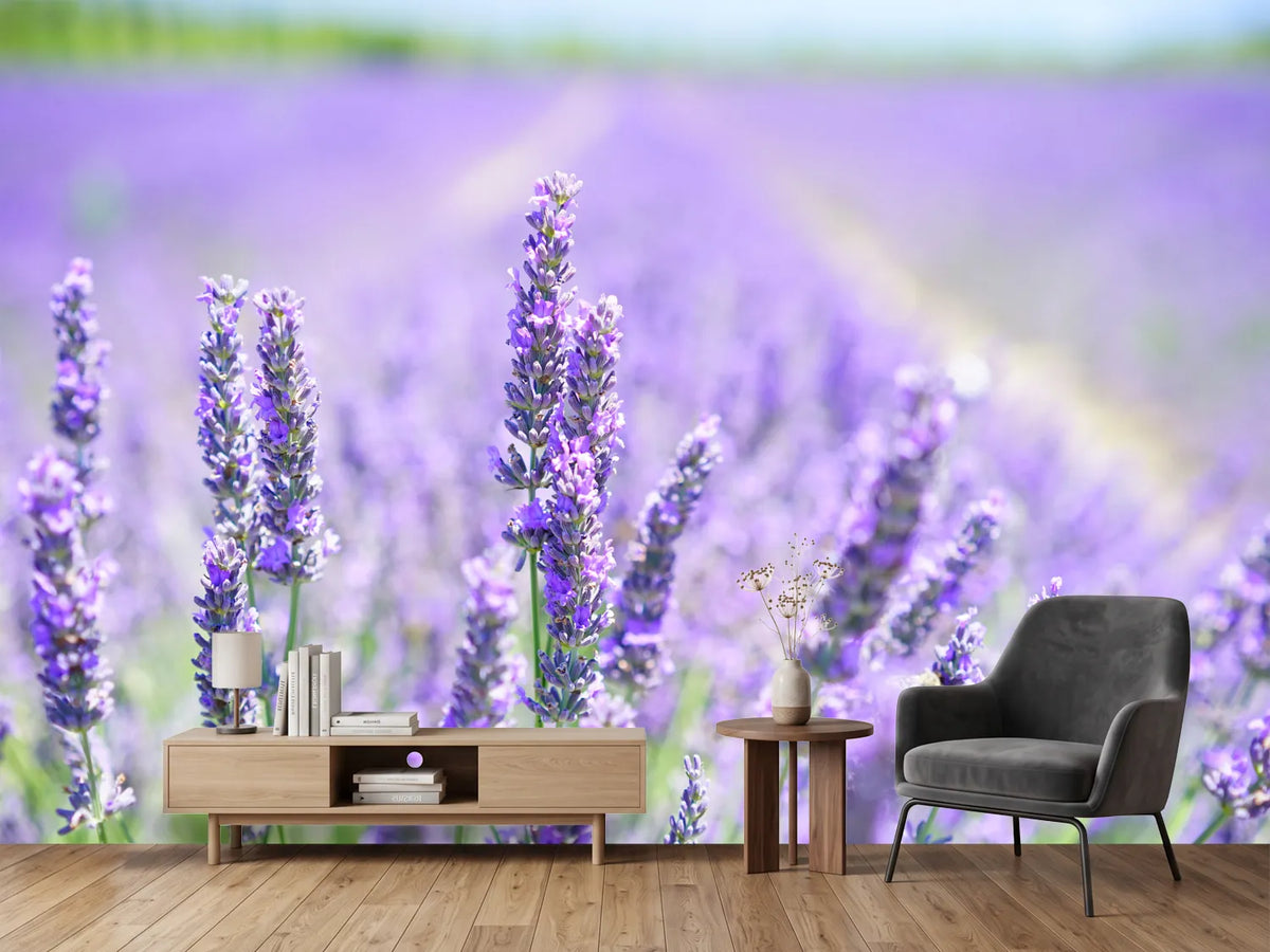 photo-wallpaper-the-lavender-blossom