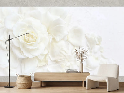 photo-wallpaper-white-rose-and-petals