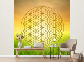 photo-wallpaper-flower-of-life-in-the-shining-field