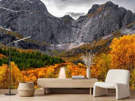 photo-wallpaper-road-to-the-wall-x