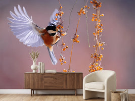 photo-wallpaper-bird-in-action