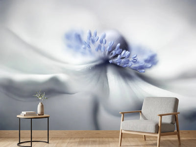 photo-wallpaper-anemone-spirit