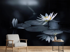 photo-wallpaper-reflection-iv