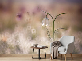 photo-wallpaper-albino-x