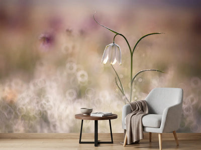 photo-wallpaper-albino-x