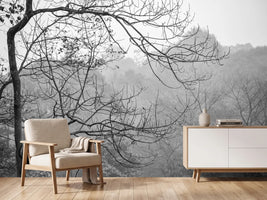 photo-wallpaper-relax