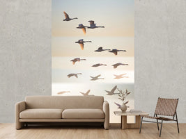 photo-wallpaper-past-the-sun