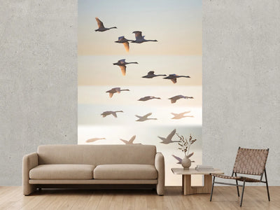 photo-wallpaper-past-the-sun