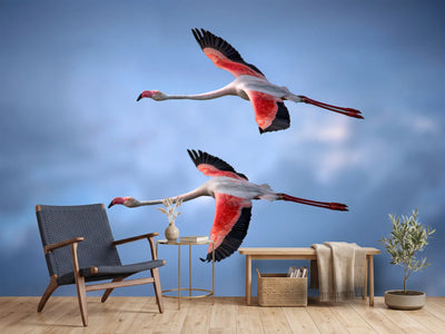 photo-wallpaper-greater-flamingos-x