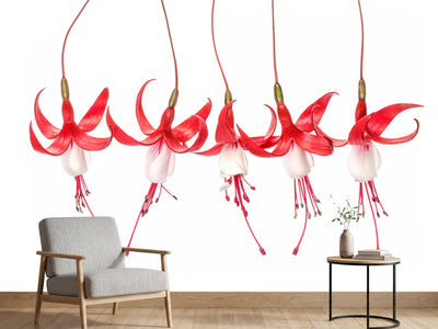 photo-wallpaper-fuchsia-x