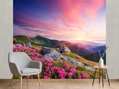 photo-wallpaper-summer-landscape-with-flowers-in-the-mountains