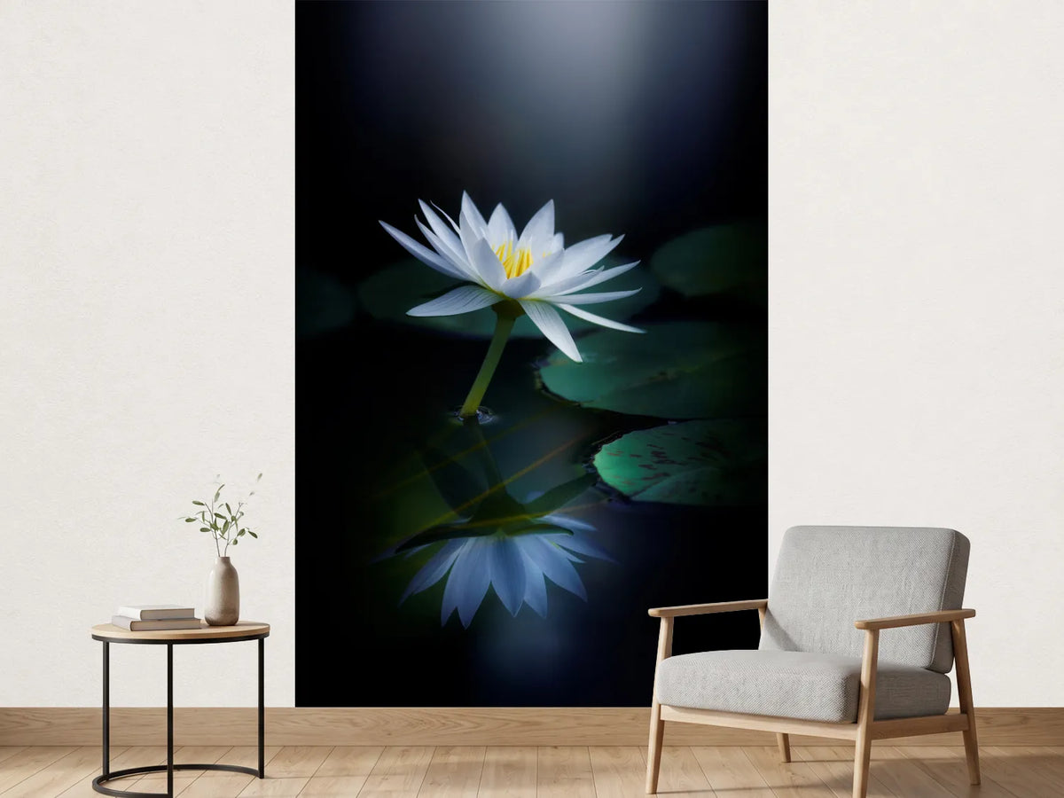 photo-wallpaper-reflection-iii