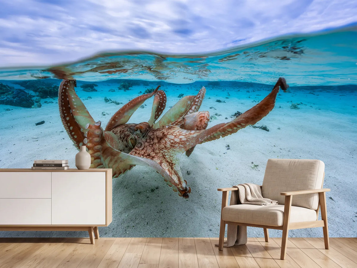 photo-wallpaper-octopus-ii