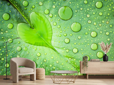 photo-wallpaper-heart-leaf-dew-drops