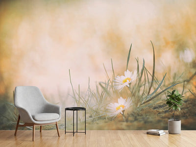 photo-wallpaper-untitled-xfj