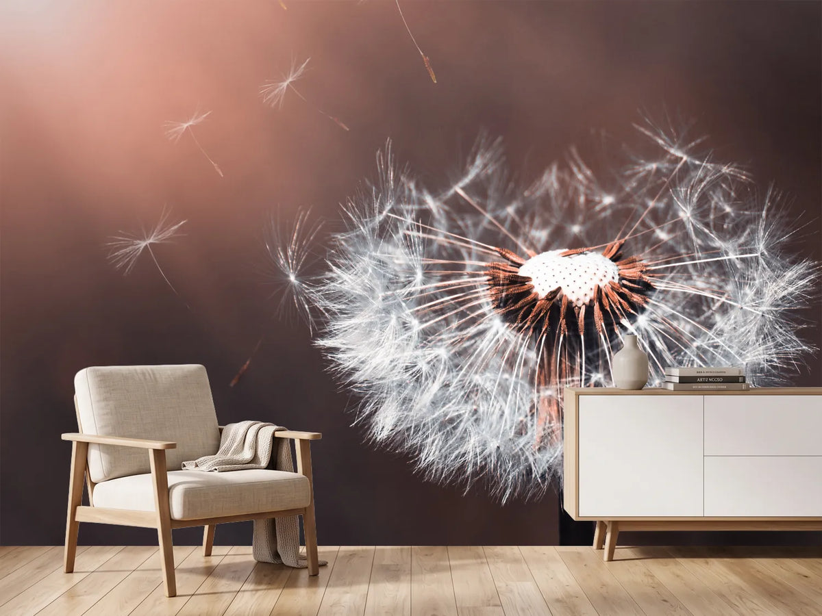 photo-wallpaper-dandelion-in-the-evening-light