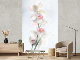 photo-wallpaper-pale-beauty
