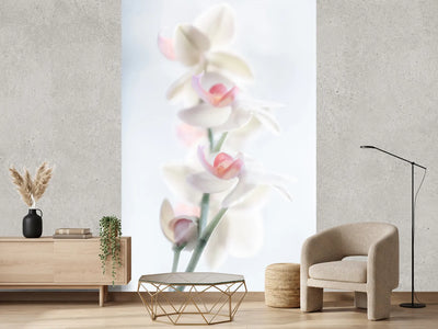 photo-wallpaper-pale-beauty