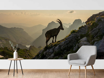photo-wallpaper-alpstein-in-switzerland
