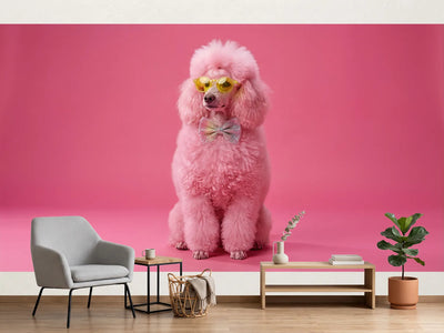 photo-wallpaper-pink-poodle-in-yellow-sunglasses-and-a-glittery-bow-tie