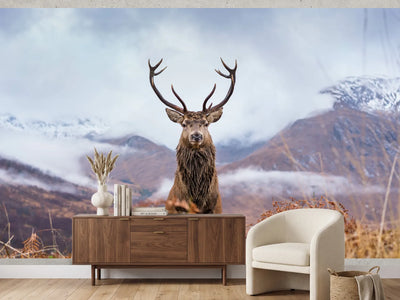 photo-wallpaper-monarch-of-the-glen-2