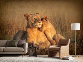 photo-wallpaper-feline-family-x