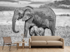 photo-wallpaper-staying-close-and-protected-x