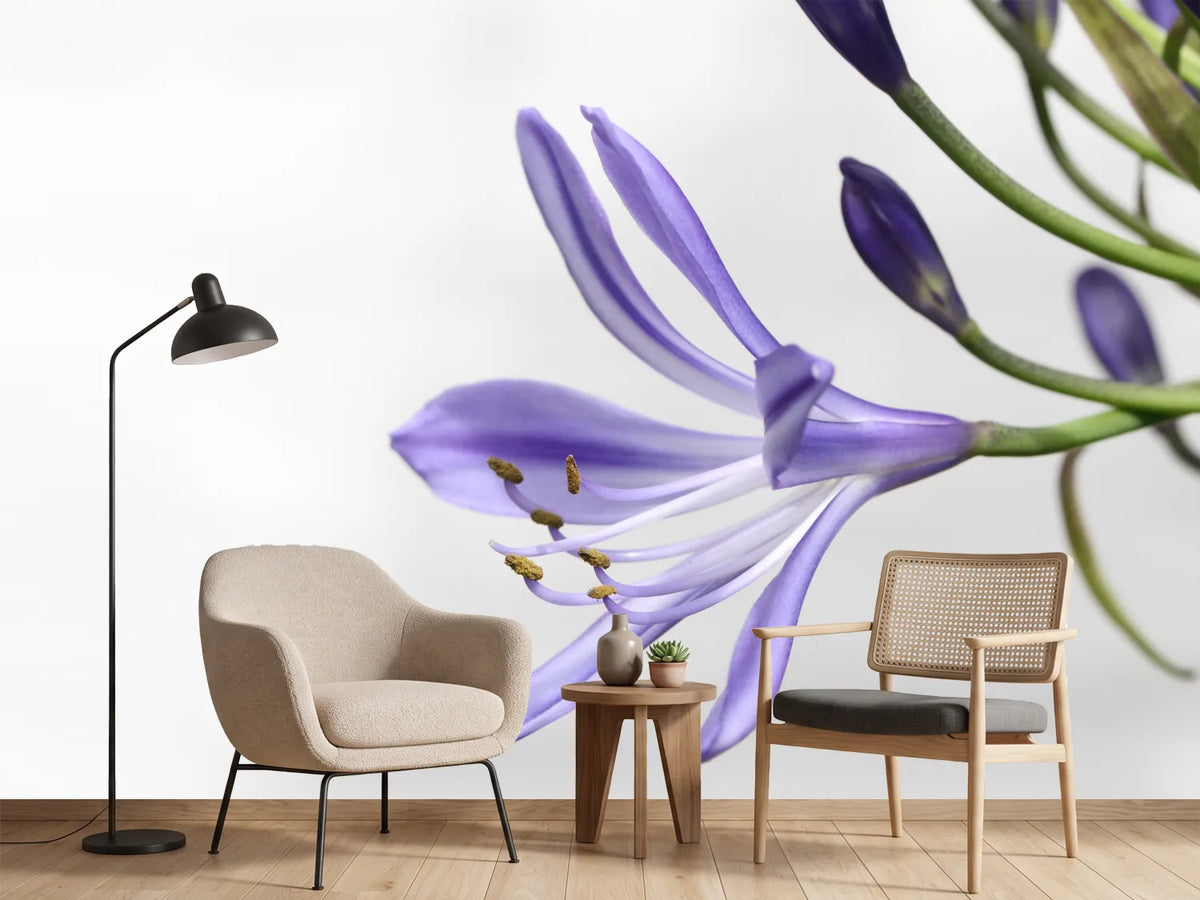 photo-wallpaper-lily-flower-in-purple