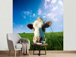 photo-wallpaper-the-cow