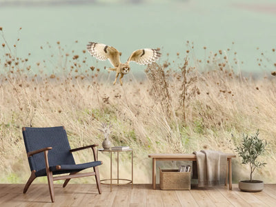 photo-wallpaper-hunting-short-eared-owl-x
