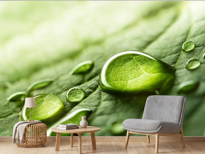 photo-wallpaper-dew-drops-on-a-green-leaf-in-soft-morning-light-macro