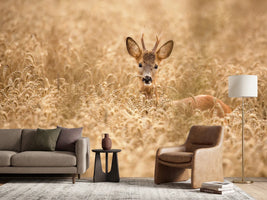 photo-wallpaper-deer-in-the-field-x