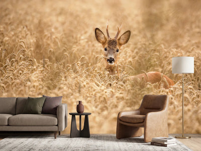 photo-wallpaper-deer-in-the-field-x