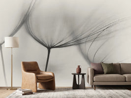 photo-wallpaper-tragopogon