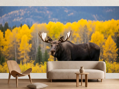 photo-wallpaper-moose-standing-in-autumn-forest-landscape
