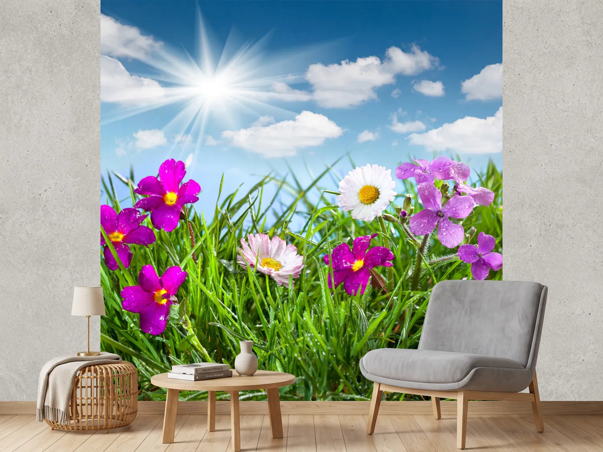 photo-wallpaper-flowering-meadow
