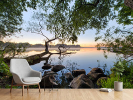 photo-wallpaper-landscape