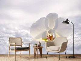 photo-wallpaper-the-orchids-bloom