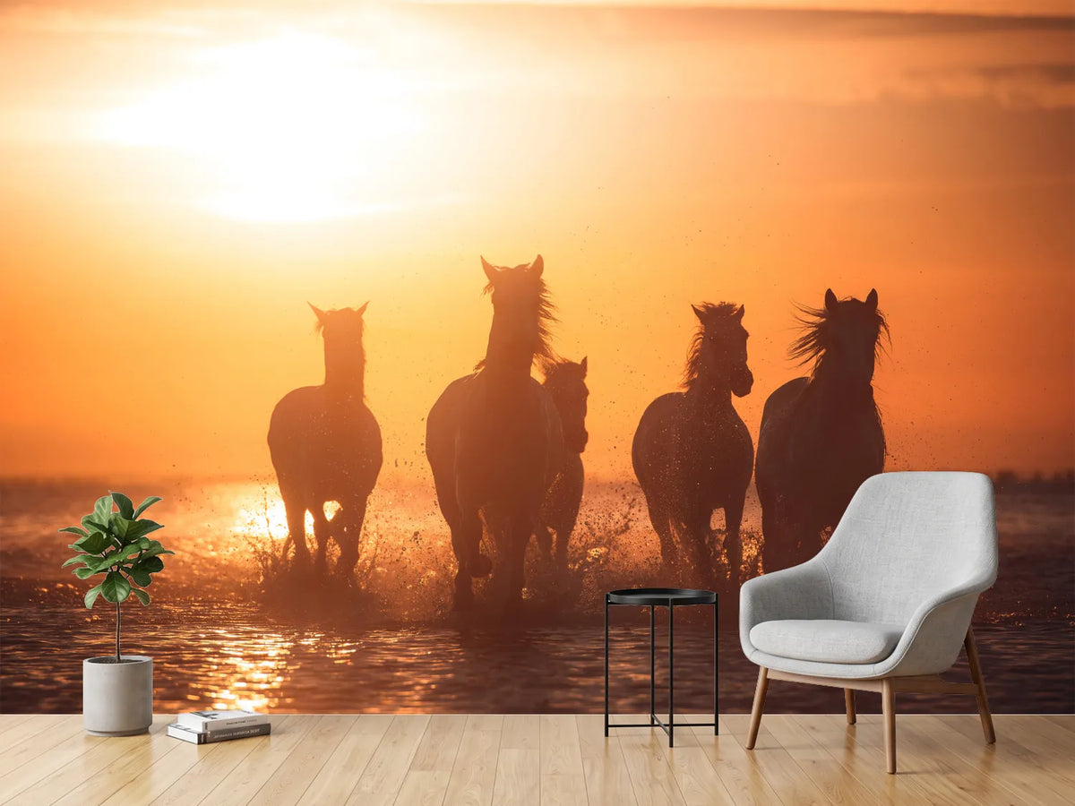 photo-wallpaper-camargue-angels-x