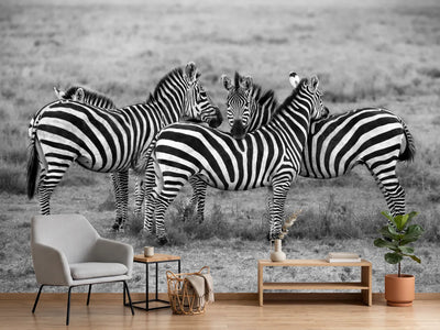 photo-wallpaper-stripes-xoh