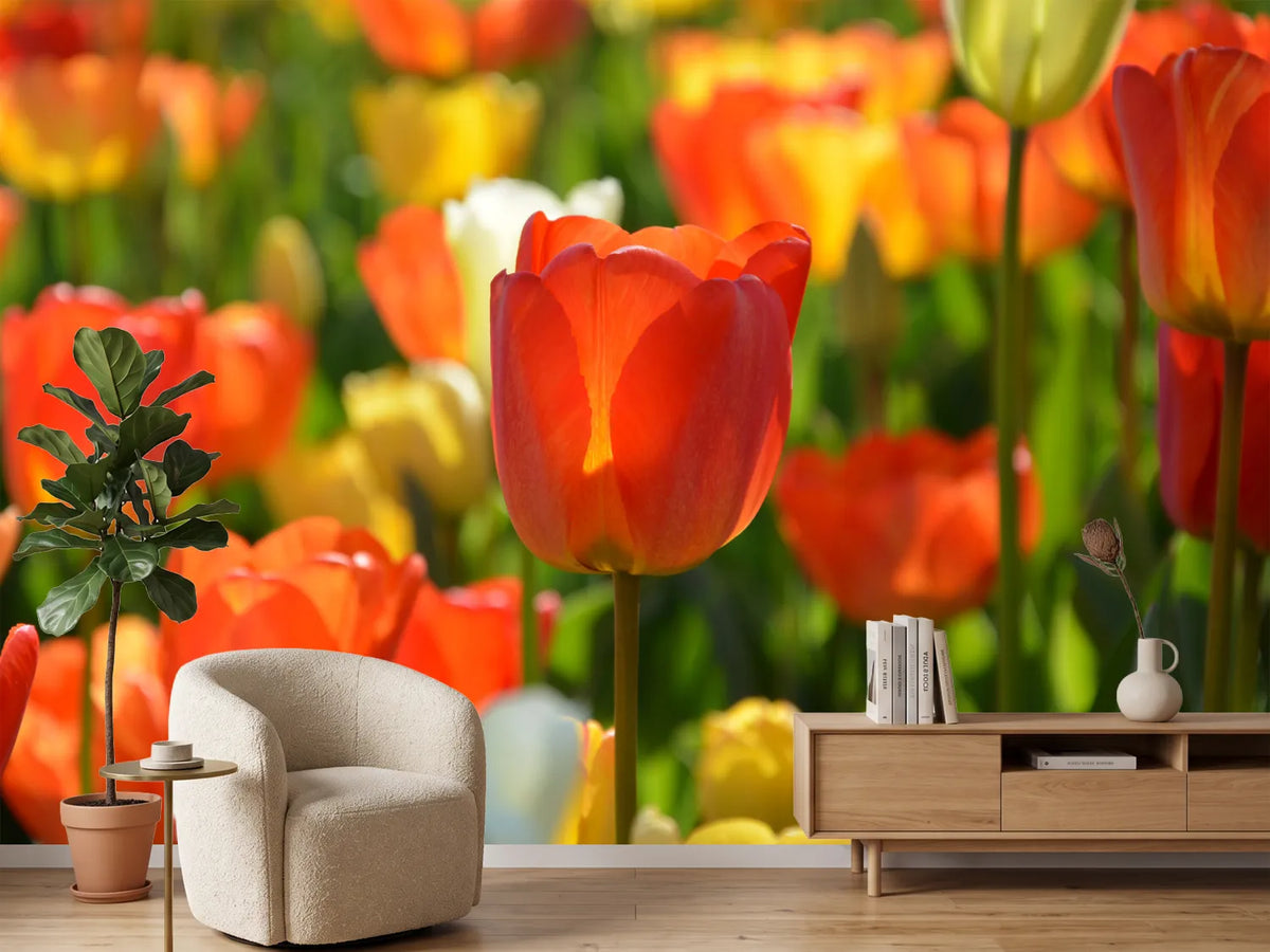 photo-wallpaper-close-up-tulip-field