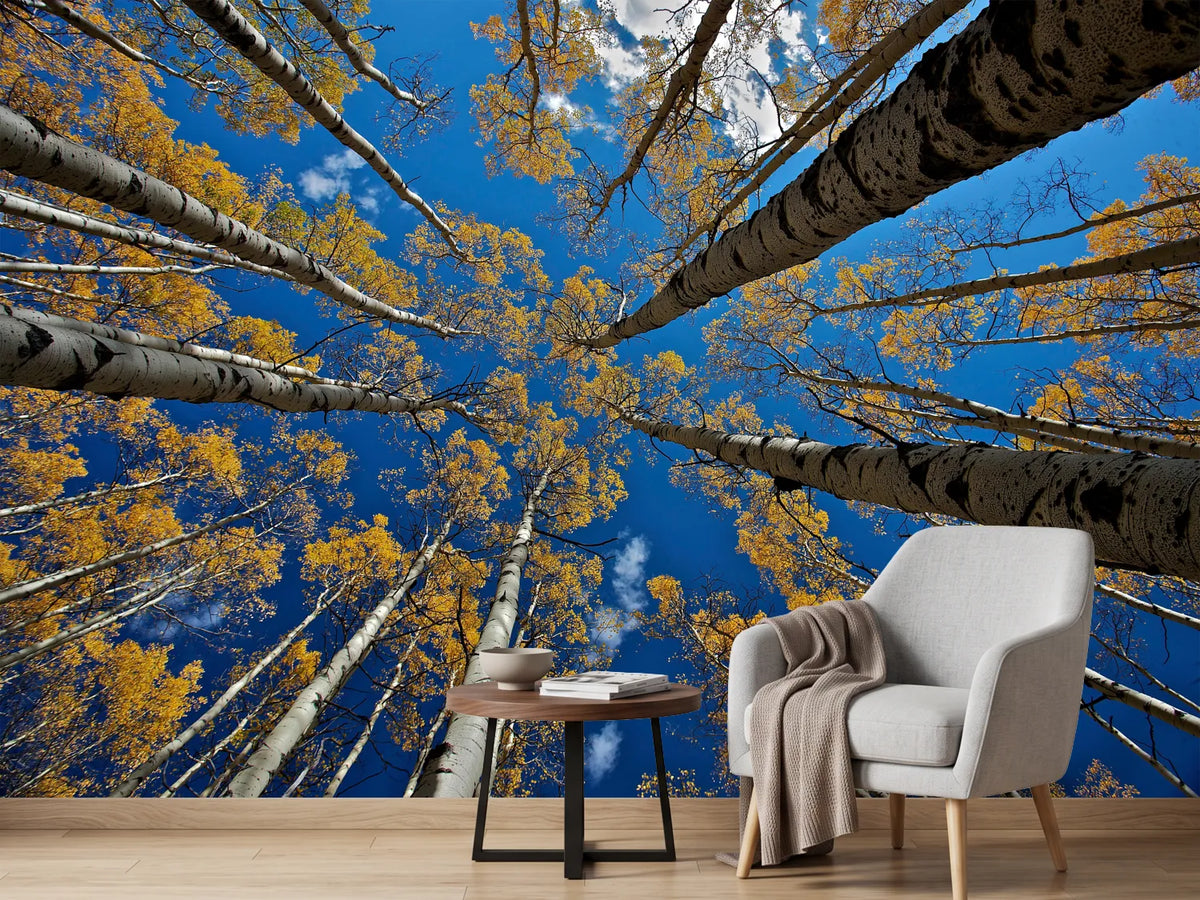 photo-wallpaper-aspen-s-fall-x