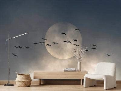 photo-wallpaper-flock-against-glowing-sun