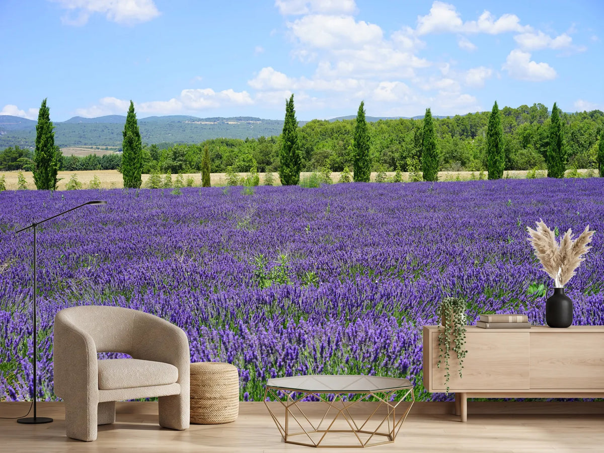 photo-wallpaper-magnificent-lavender-field